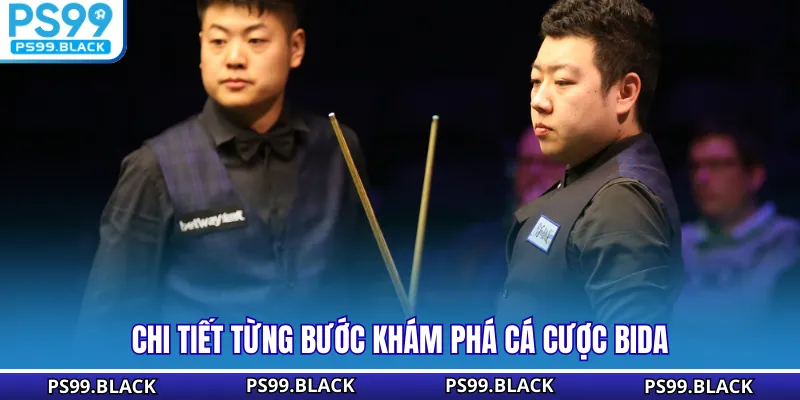 Chi tiết từng bước khám phá cá cược Bida